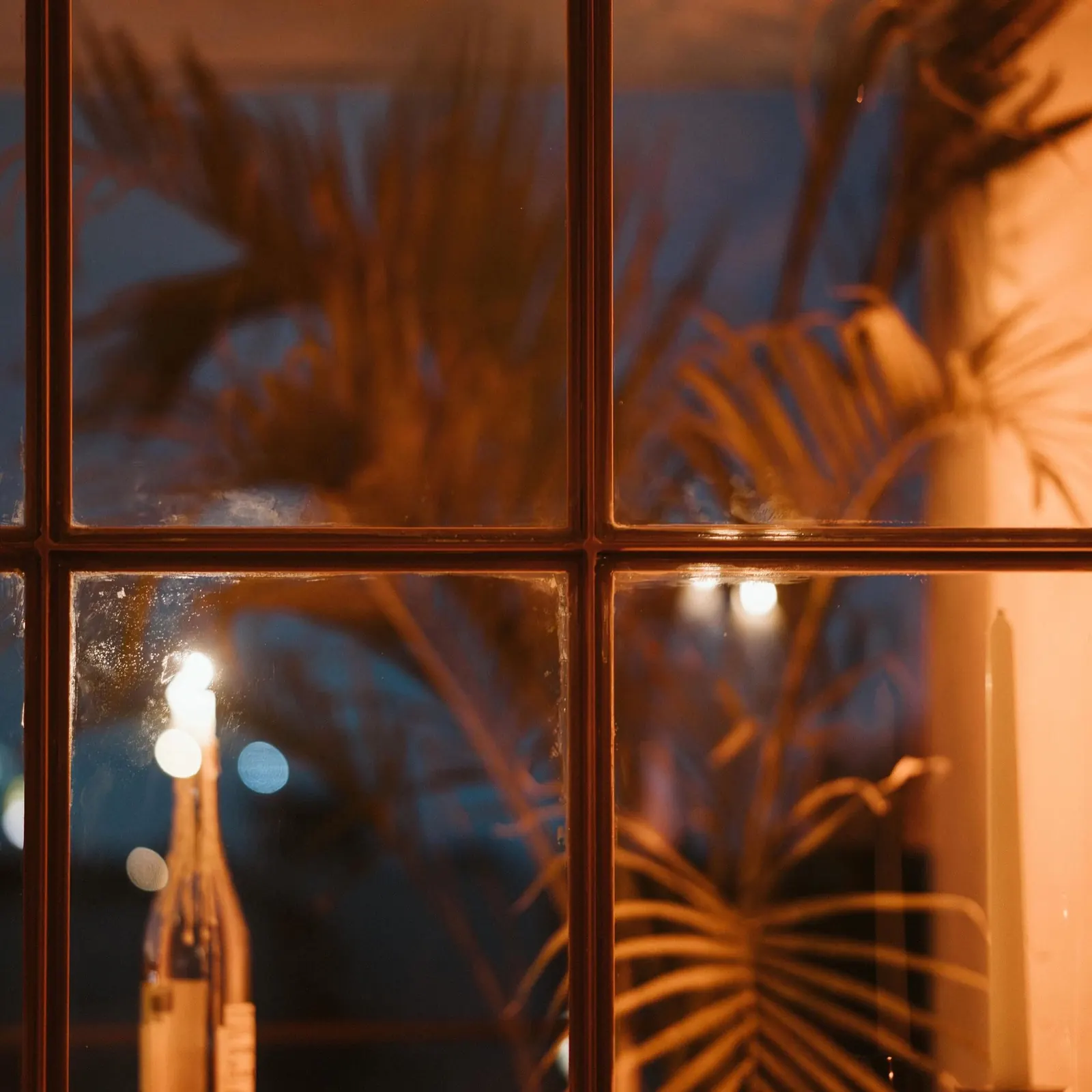 Photo 4 from An intimate dinner